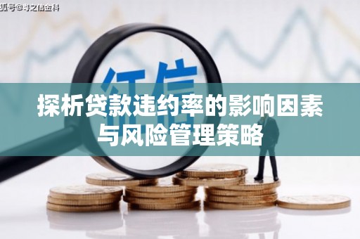 新晃探析贷款违约率的影响因素与风险管理策略