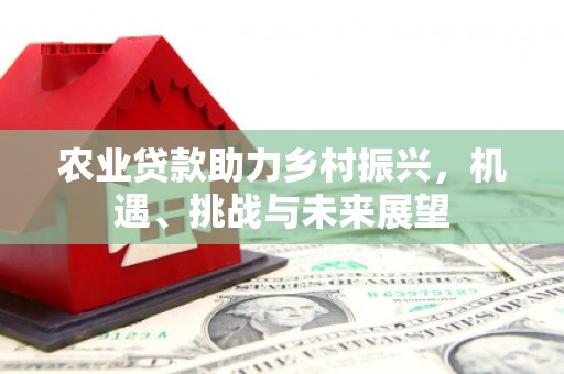 新晃农业贷款助力乡村振兴，机遇、挑战与未来展望