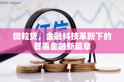 新晃微粒贷，金融科技革新下的普惠金融新篇章