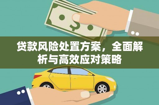 新晃贷款风险处置方案，全面解析与高效应对策略