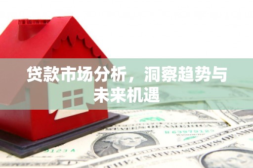 新晃贷款市场分析，洞察趋势与未来机遇