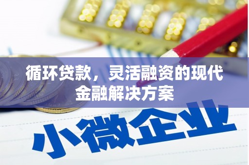 新晃循环贷款，灵活融资的现代金融解决方案