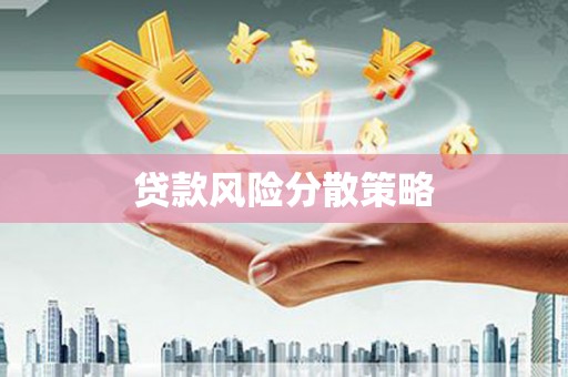 新晃贷款风险分散策略