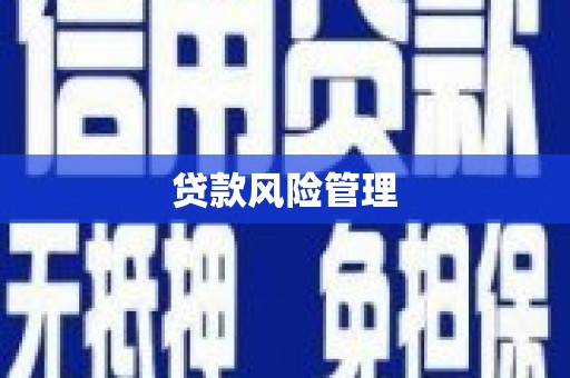 新晃贷款风险管理