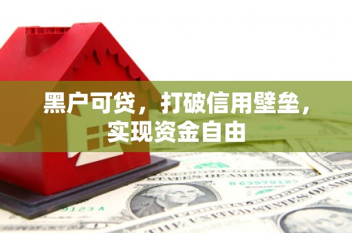 新晃黑户可贷，打破信用壁垒，实现资金自由
