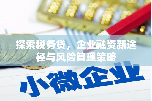 新晃探索税务贷，企业融资新途径与风险管理策略