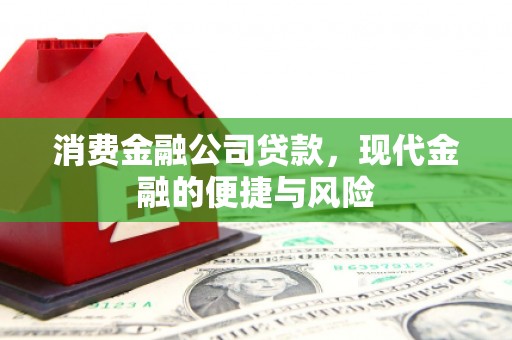 新晃消费金融公司贷款，现代金融的便捷与风险