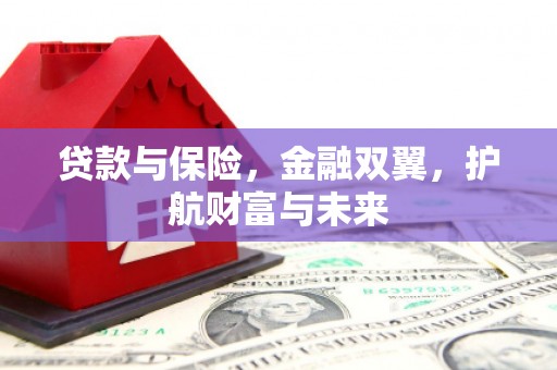 新晃贷款与保险，金融双翼，护航财富与未来