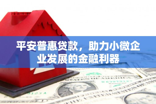 新晃平安普惠贷款，助力小微企业发展的金融利器