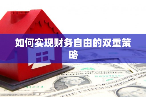 新晃如何实现财务自由的双重策略