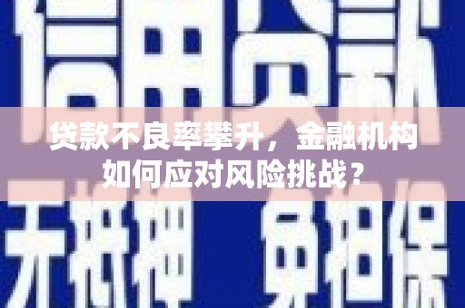 新晃贷款不良率攀升，金融机构如何应对风险挑战？