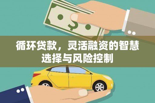 新晃循环贷款，灵活融资的智慧选择与风险控制