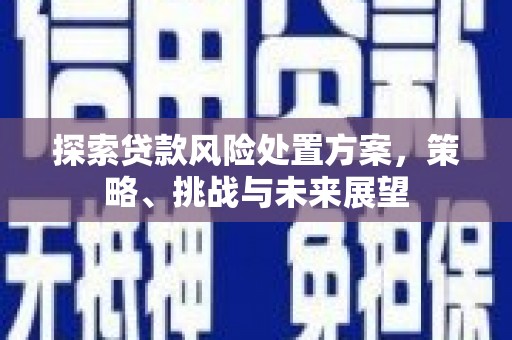 新晃探索贷款风险处置方案，策略、挑战与未来展望