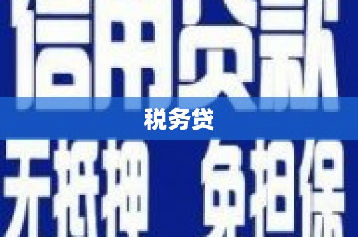 新晃税务贷