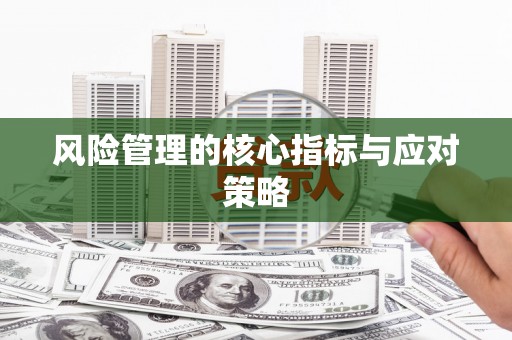 新晃风险管理的核心指标与应对策略