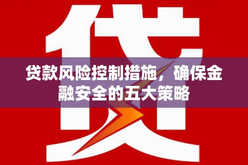 新晃贷款风险控制措施，确保金融安全的五大策略