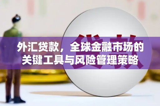 新晃外汇贷款，全球金融市场的关键工具与风险管理策略