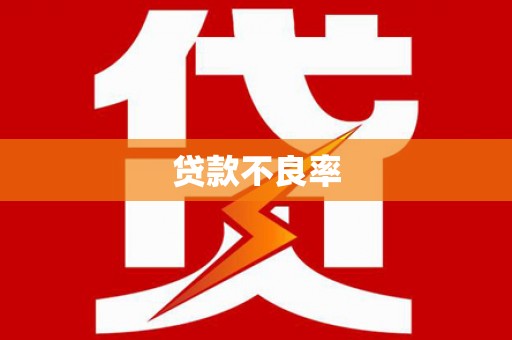 新晃贷款不良率