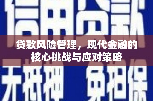 新晃贷款风险管理，现代金融的核心挑战与应对策略