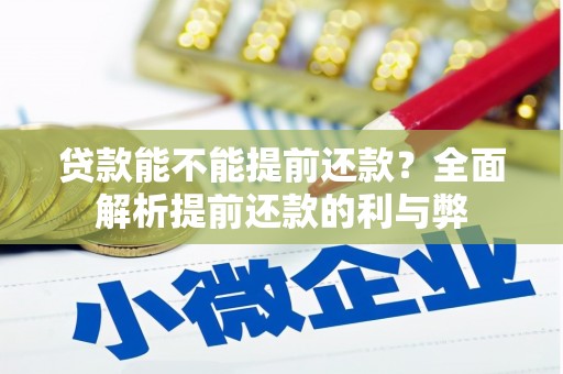 新晃贷款能不能提前还款？全面解析提前还款的利与弊