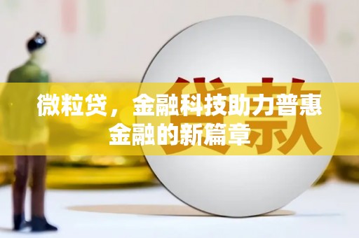 新晃微粒贷，金融科技助力普惠金融的新篇章