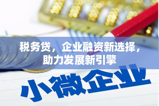 新晃税务贷，企业融资新选择，助力发展新引擎