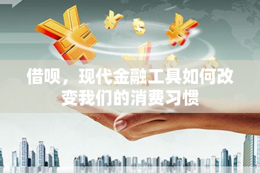 新晃借呗，现代金融工具如何改变我们的消费习惯