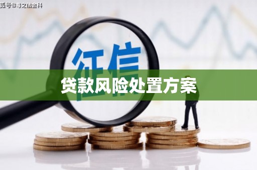 新晃贷款风险处置方案