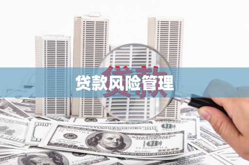 新晃贷款风险管理