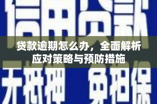新晃贷款逾期怎么办，全面解析应对策略与预防措施