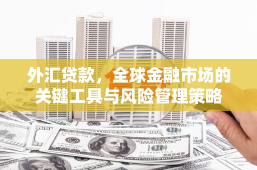 新晃外汇贷款，全球金融市场的关键工具与风险管理策略