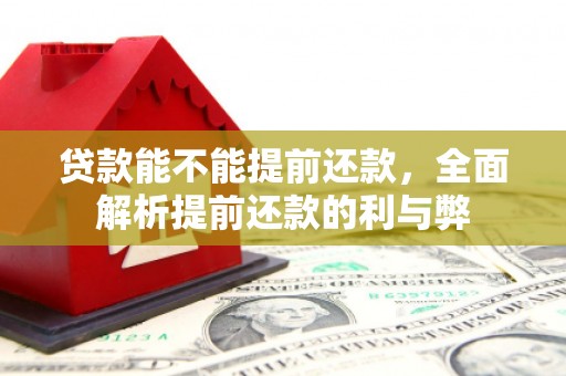 新晃贷款能不能提前还款，全面解析提前还款的利与弊