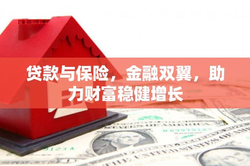 新晃贷款与保险，金融双翼，助力财富稳健增长