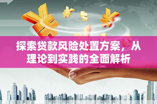 新晃探索贷款风险处置方案，从理论到实践的全面解析