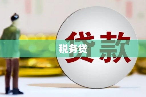 新晃税务贷