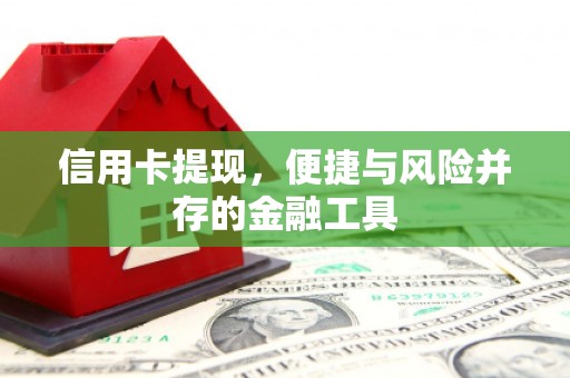 新晃信用卡提现，便捷与风险并存的金融工具