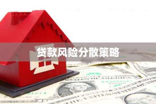 新晃贷款风险分散策略