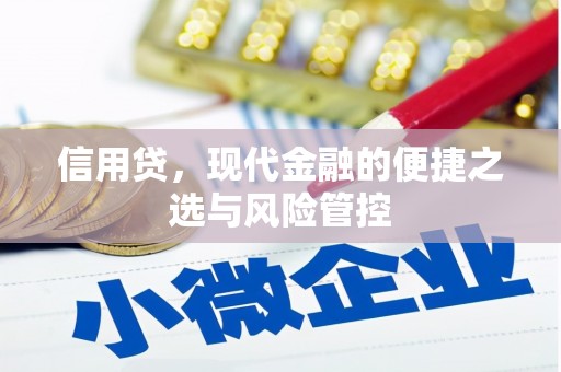 新晃信用贷，现代金融的便捷之选与风险管控
