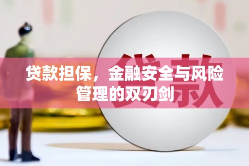 新晃贷款担保，金融安全与风险管理的双刃剑