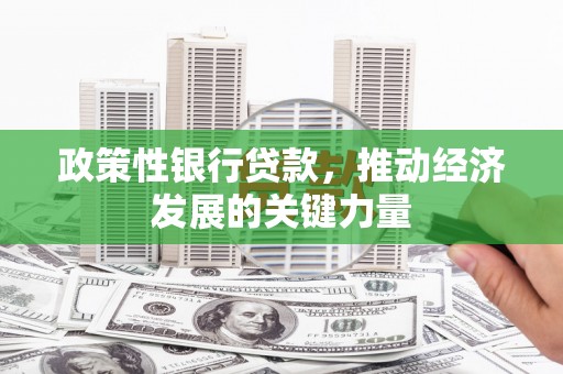 新晃政策性银行贷款，推动经济发展的关键力量