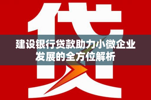 新晃建设银行贷款助力小微企业发展的全方位解析