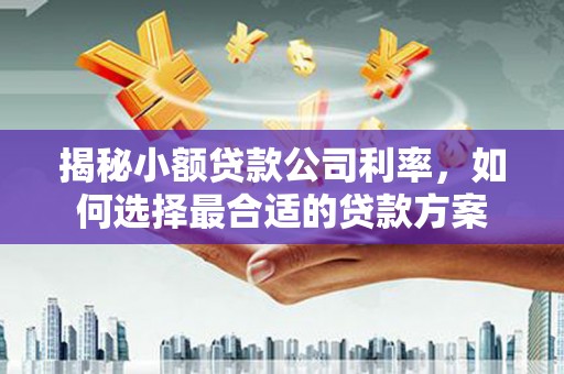 新晃揭秘小额贷款公司利率，如何选择最合适的贷款方案
