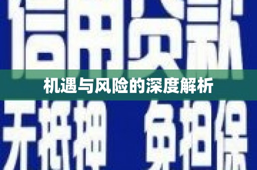 新晃机遇与风险的深度解析