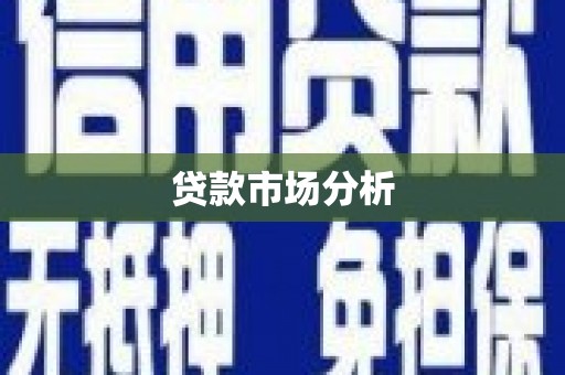 新晃贷款市场分析