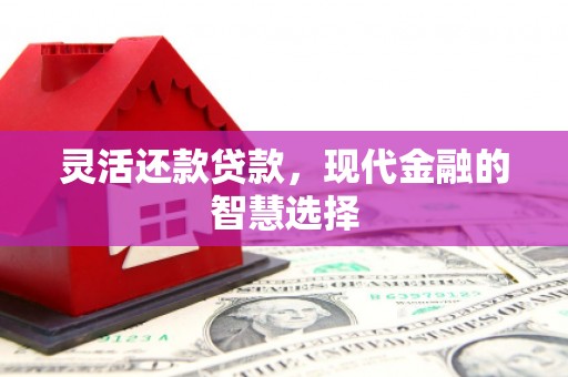 新晃灵活还款贷款，现代金融的智慧选择