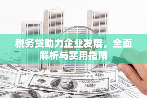 新晃税务贷助力企业发展，全面解析与实用指南