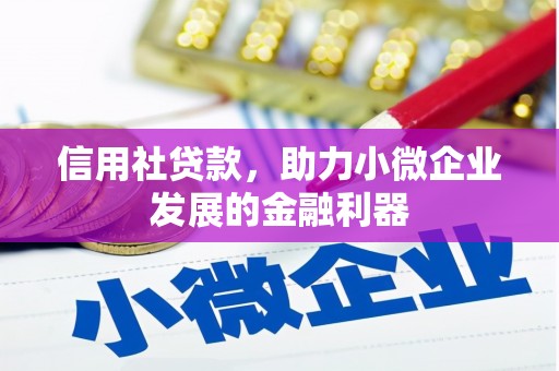 新晃信用社贷款，助力小微企业发展的金融利器