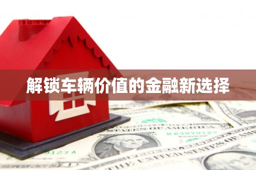 新晃解锁车辆价值的金融新选择