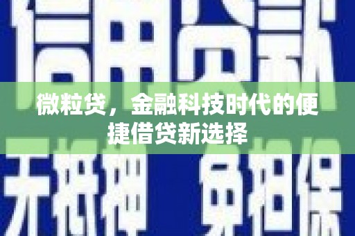 新晃微粒贷，金融科技时代的便捷借贷新选择