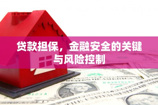 新晃贷款担保，金融安全的关键与风险控制